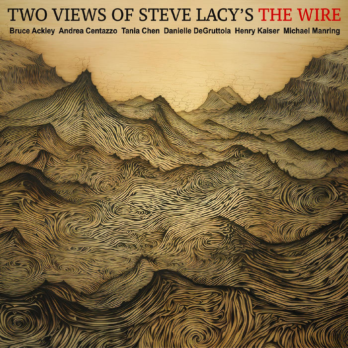 Ackley-Chen-Centazzo-DeGruttola-Kaiser-Manring - TWO VIEWS OF STEVE LACYS THE WIRE - CD