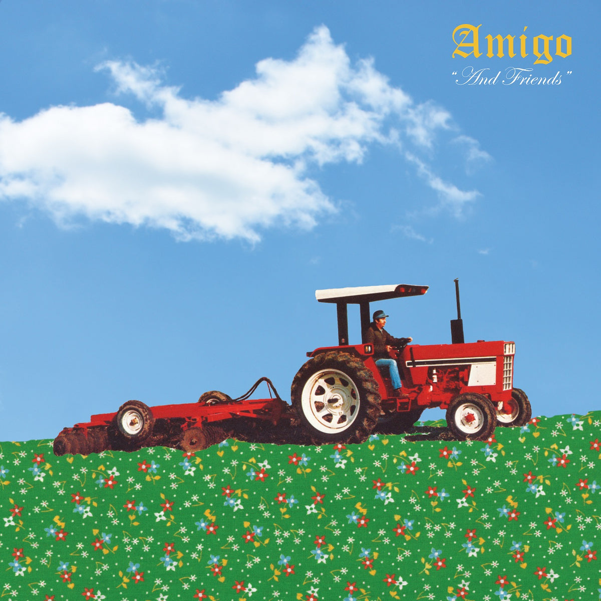 Amigo - And Friends - Vinyl