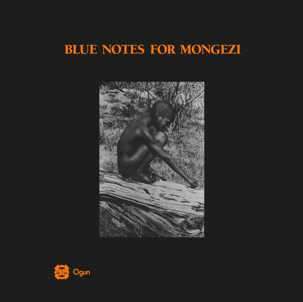 BLUE NOTES - Blue Notes For Mongezi - Vinyl