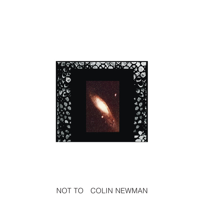 Colin Newman - Not To - Vinyl