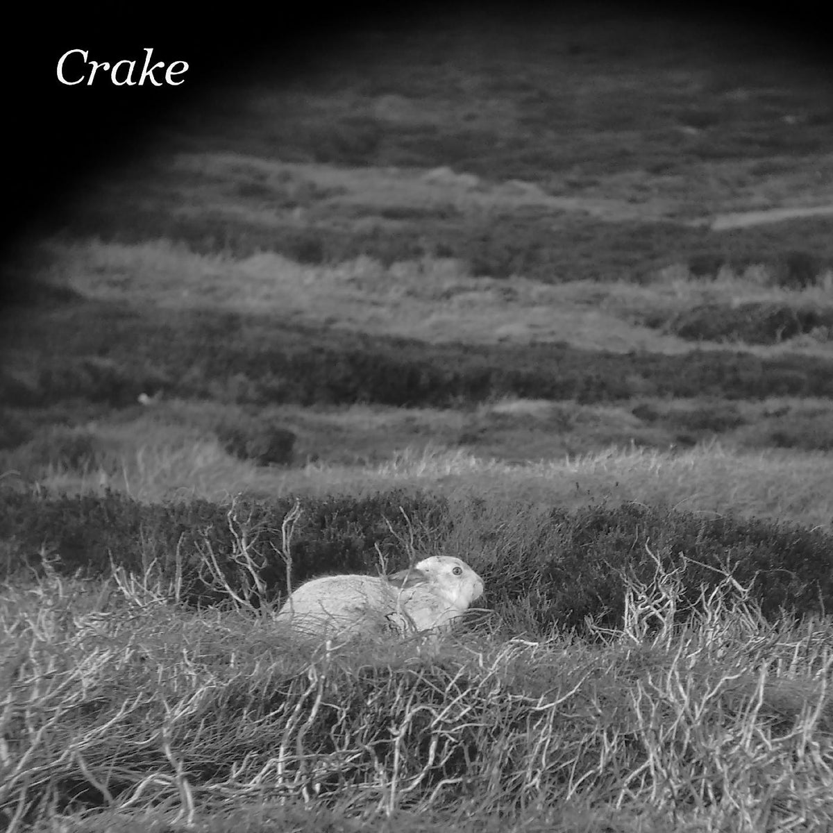 Crake - Enough Salt (For All Dogs) b/w Gef - Vinyl