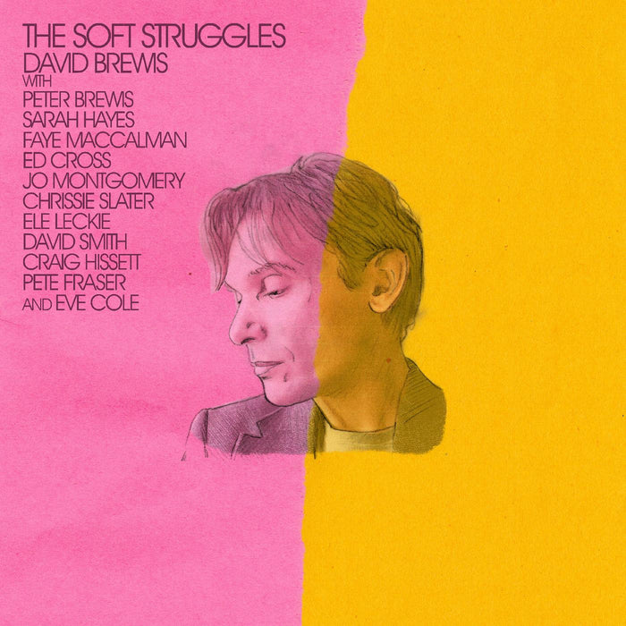 David Brewis - The Soft Struggles - Vinyl