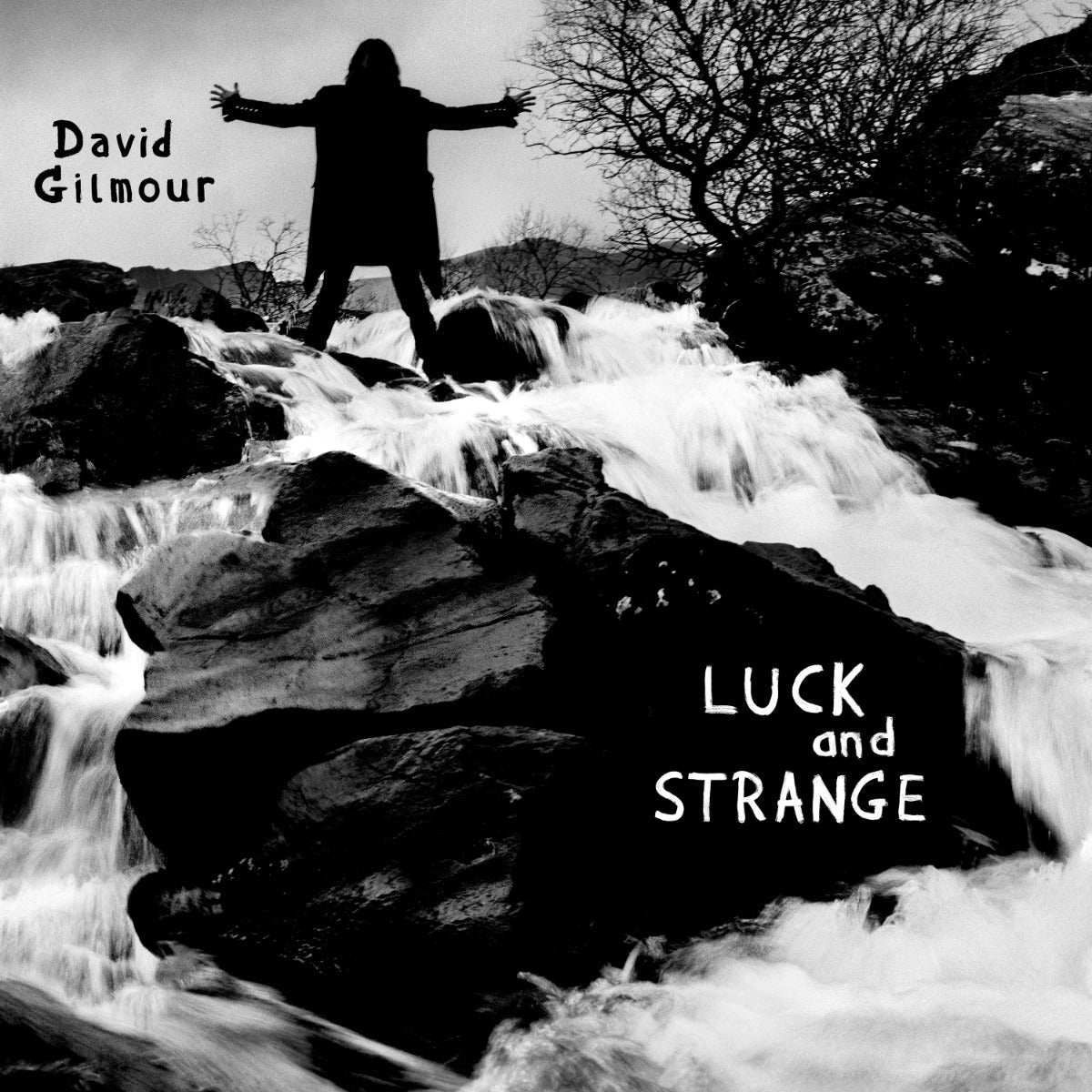 David Gilmour - Luck and Strange - Vinyl