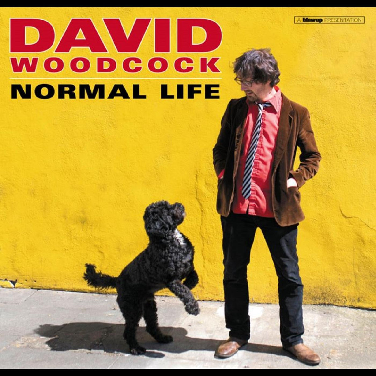 David Woodcock - Normal Life - Vinyl