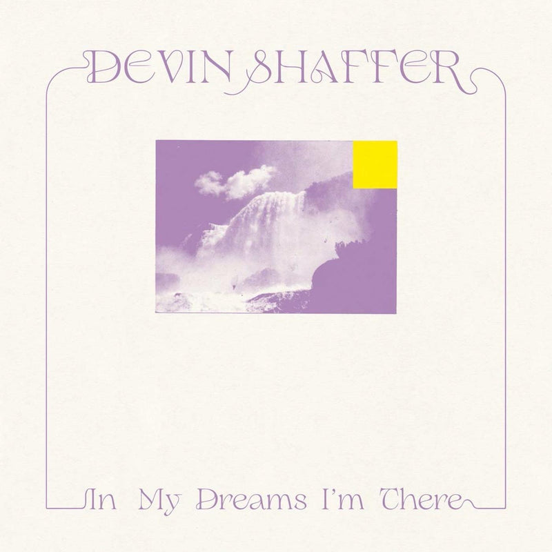 Devin Shaffer - In My Dreams I'm There - Vinyl