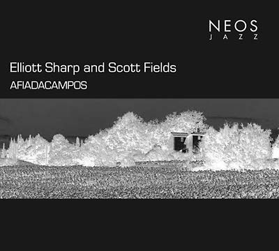 ELLIOTT SHARP & SCOTT FIELDS - Afiadacampos - CD