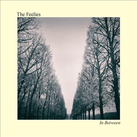 Feelies - IN BETWEEN - Vinyl