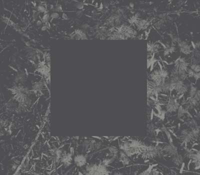 HOUSE OF LOW CULTURE - Poisoned Soil - CD