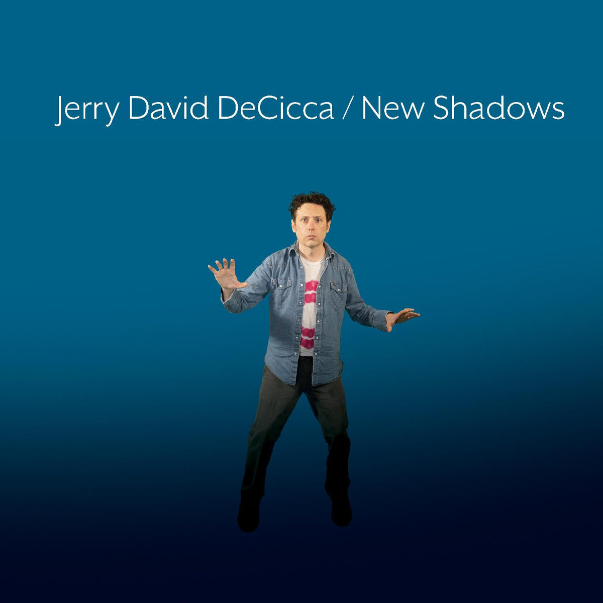 Jerry David DeCicca - New Shadows - Vinyl