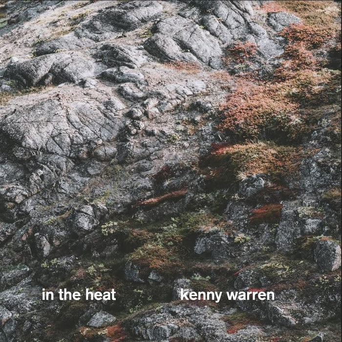 Kenny Trio Warren - In The Heat - Vinyl