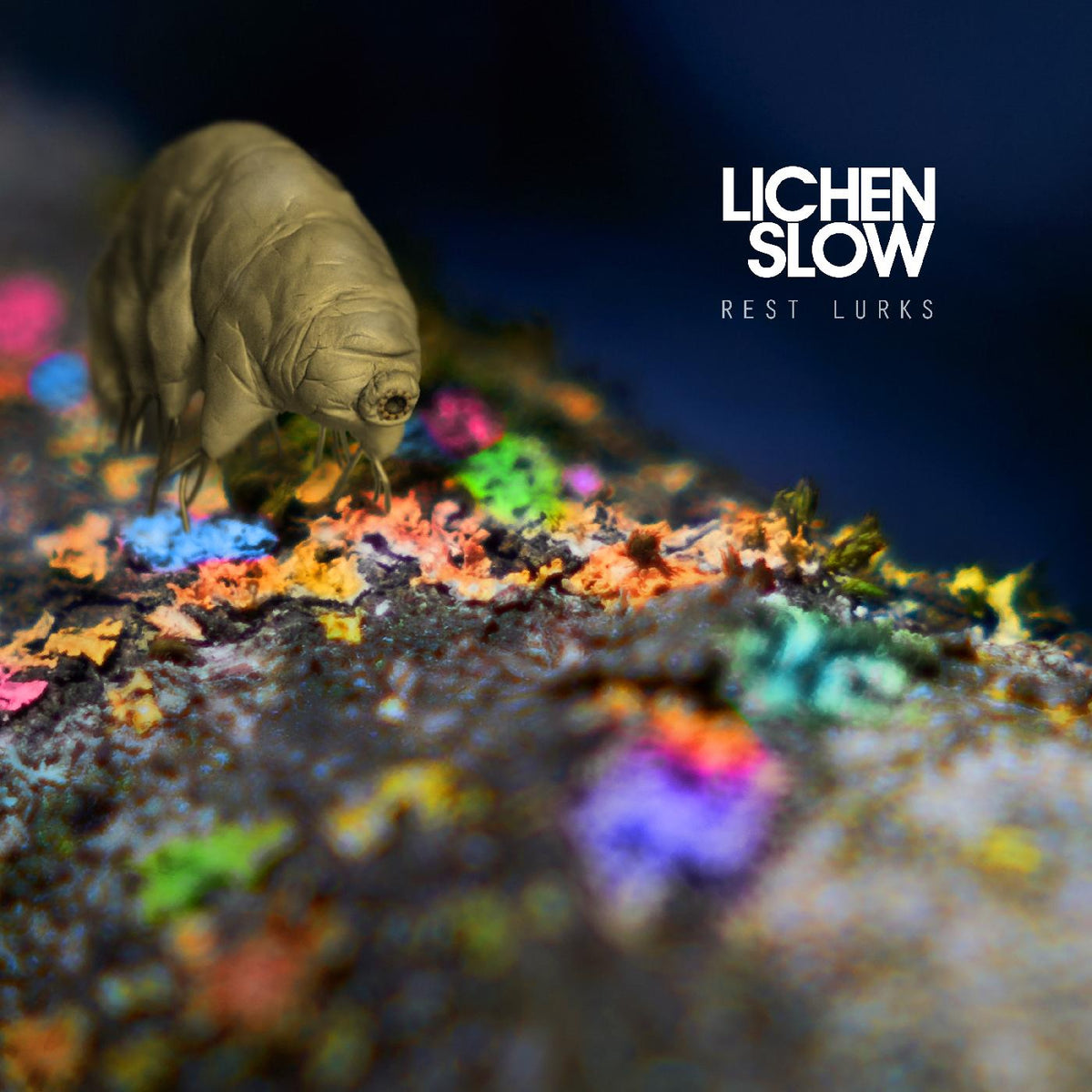 Lichen Slow - Rest Lurks (ORANGE VINYL) - Vinyl