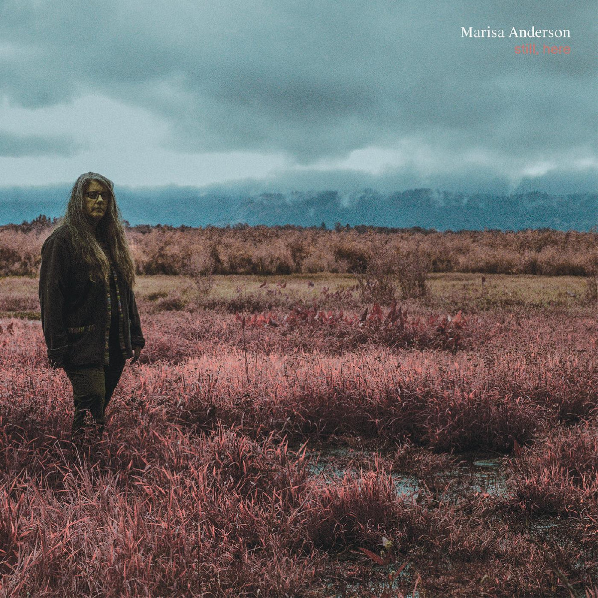 Marisa Anderson - Still, Here - Vinyl