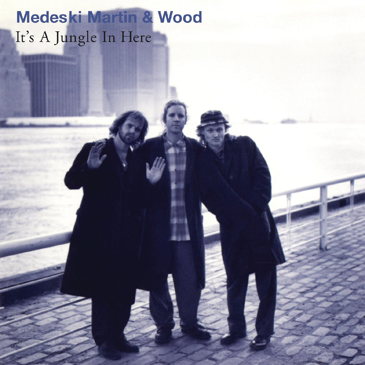 Martin & Wood Medeski - It's a Jungle in Here - Vinyl