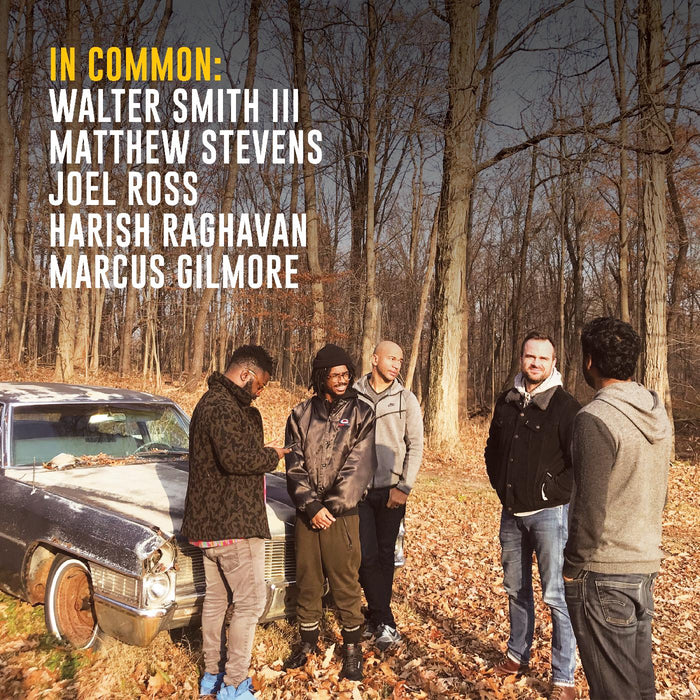 Matthew & Walter Smith III Stevens - In Common: - Vinyl