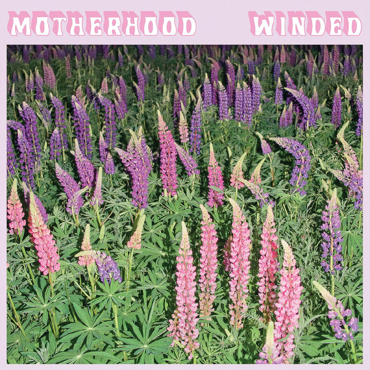 Motherhood - Winded (PINK VINYL) - Vinyl