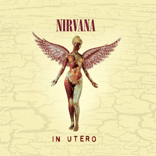 Nirvana - IN UTERO (20TH ANNIVERSARY EDITION) - CD