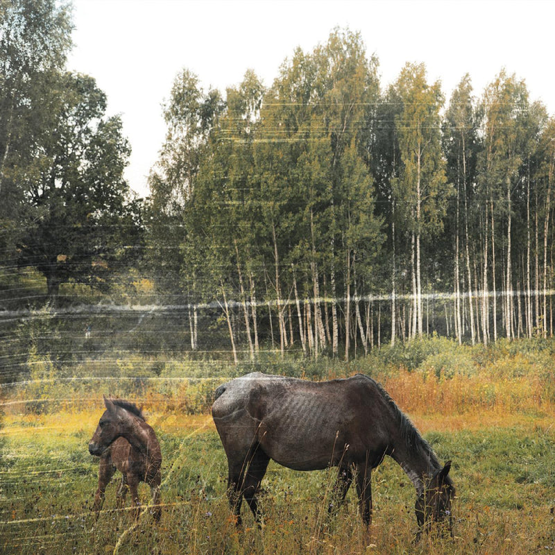 Pianos Become The Teeth - Old Pride (FOREST GREEN VINYL) - Vinyl