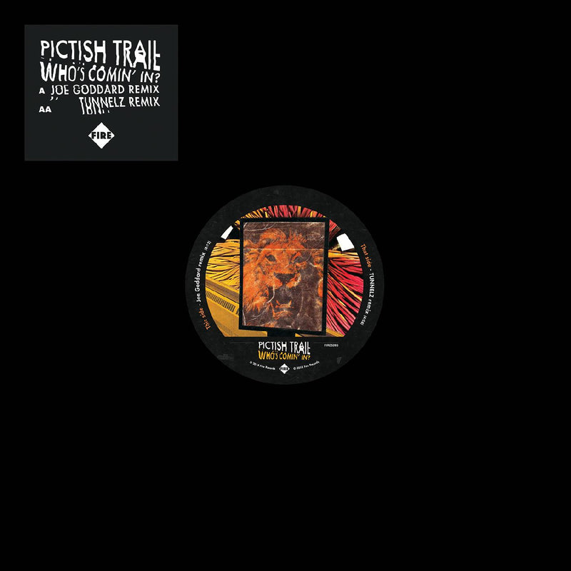 Pictish Trail - Who's Comin' In? - Vinyl