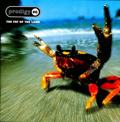 Prodigy, The - The Fat of the Land - Vinyl