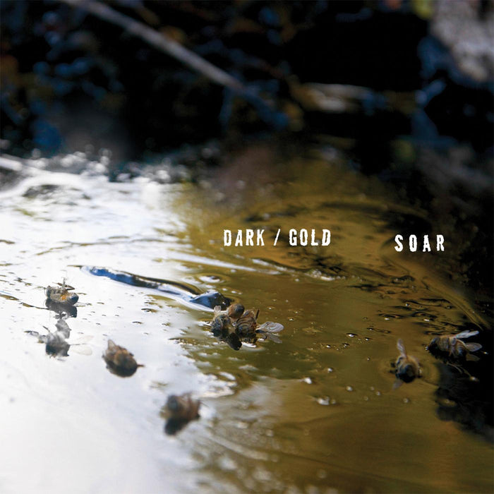 SOAR - dark / gold - Vinyl