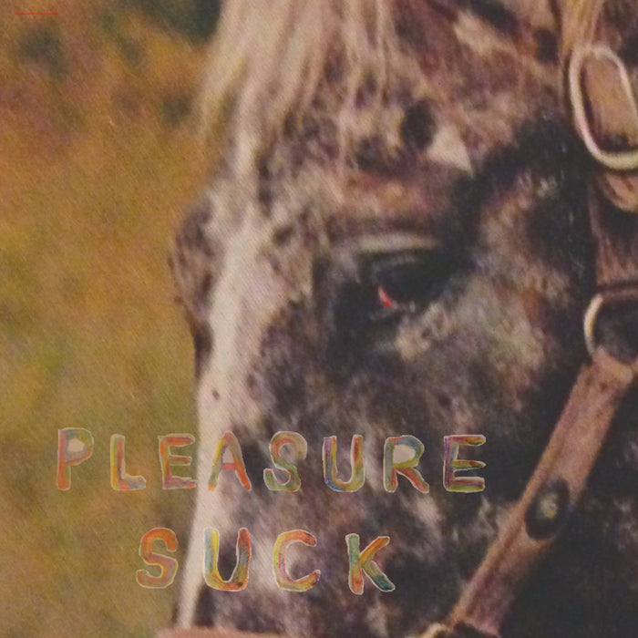 SPIRIT OF THE BEEHIVE - Pleasure Suck - CD