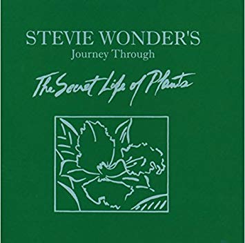 Stevie Wonder - Journey Through The Secret Life Of Plants (180 Gram Vinyl) (2 Lp's) - Vinyl