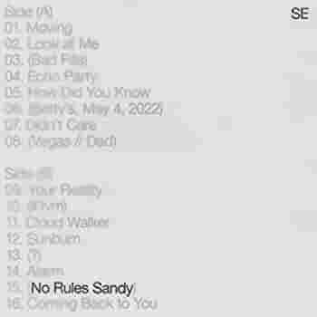 Sylvan Esso - No Rules Sandy (Indie Exclusive, Limited Edition, Colored Vinyl) - Vinyl