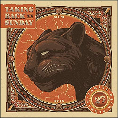 Taking Back Sunday - Twenty - Vinyl