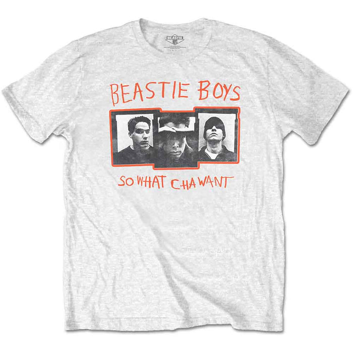 The Beastie Boys - So What Cha Want -