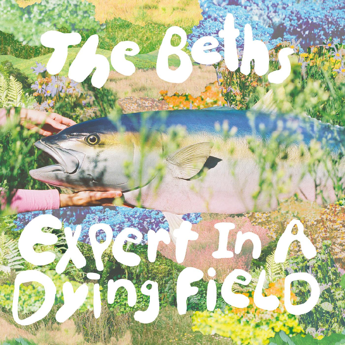 The Beths - Expert In A Dying Field - Cassette