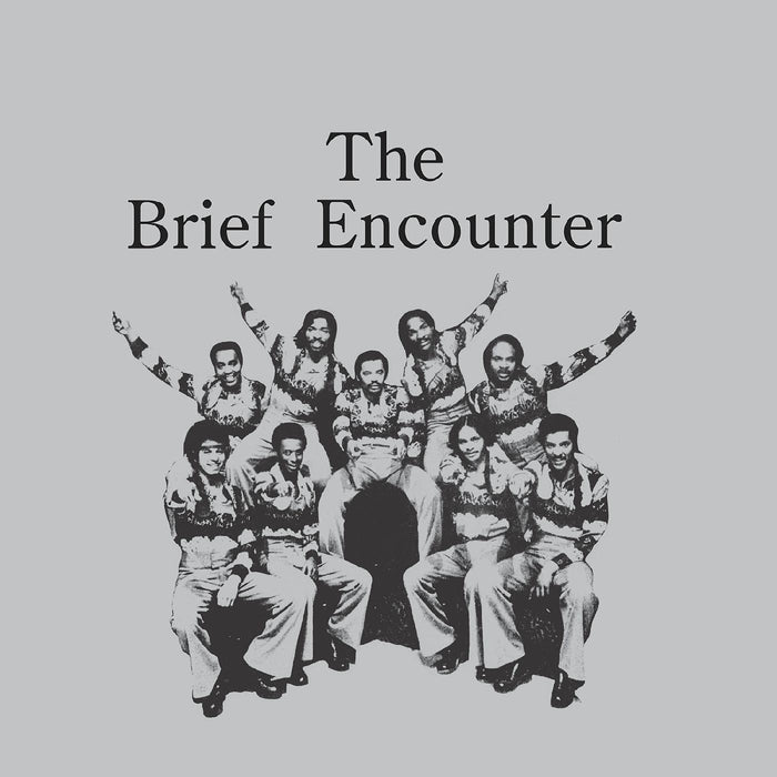 The Brief Encounter - Introducing The Brief Encounter ("Smoky Mountain" Vinyl) - Vinyl