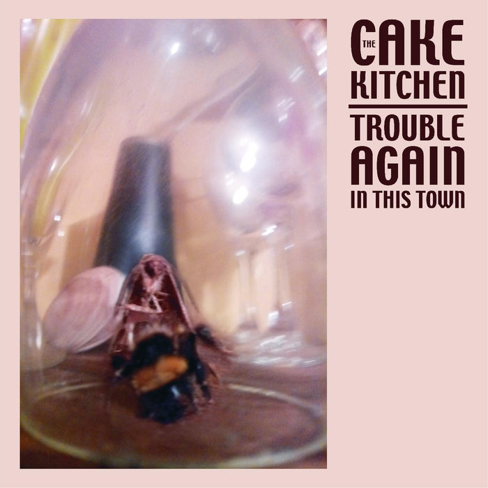 The Cakekitchen - Trouble Again In This Town - Vinyl