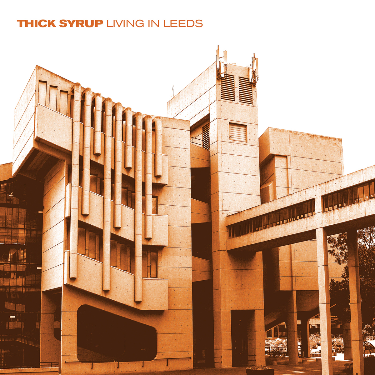 Thick Syrup - Living In Leeds - Vinyl