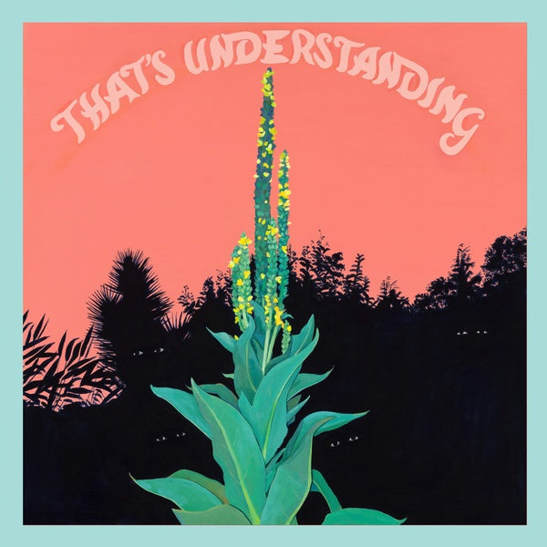 VILLAGE OF SPACES - That's Understanding - CD