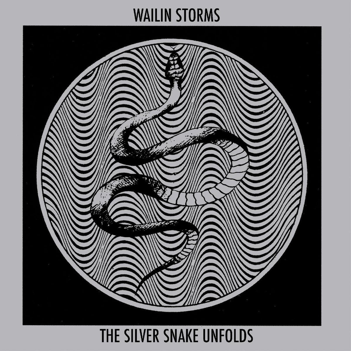 Wailin Storms - The Silver Snake Unfolds (BLUE & BLACK GALAXY VINYL) - Vinyl