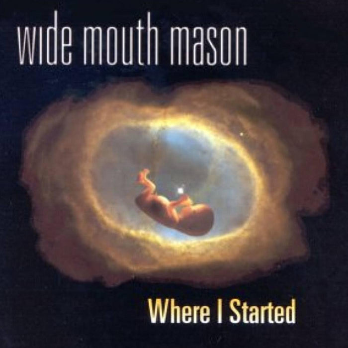 Wide Mouth Mason - Where I Started - Vinyl